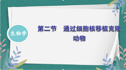 3.2通过细胞核移植克隆动物课件-2023-2024学年高二下学期生物浙科版选择性必修3