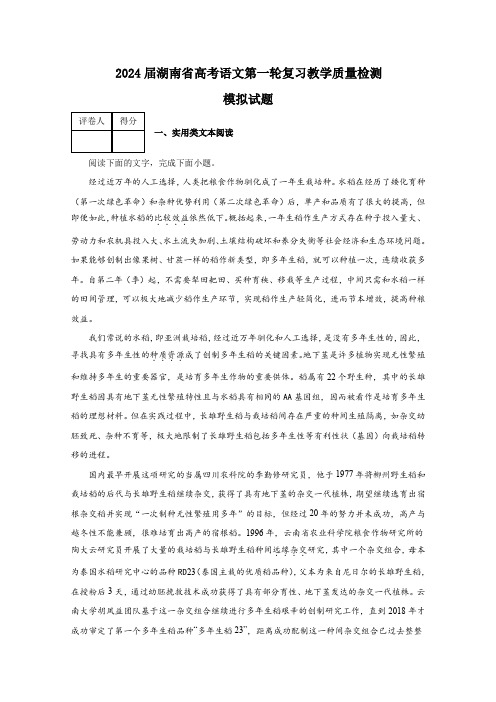 2024届湖南省高考语文第一轮复习教学质量检测模拟试题(含解析)