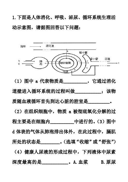 消化呼吸循环泌尿