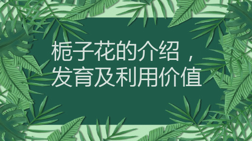 栀子花的介绍发育及利用价值