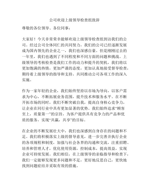 公司欢迎上级领导检查组致辞