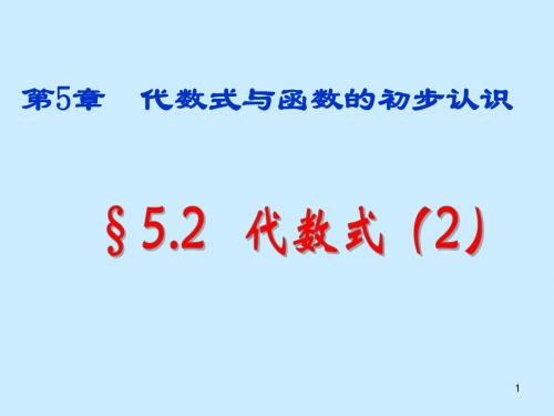 5.2代数式(2)