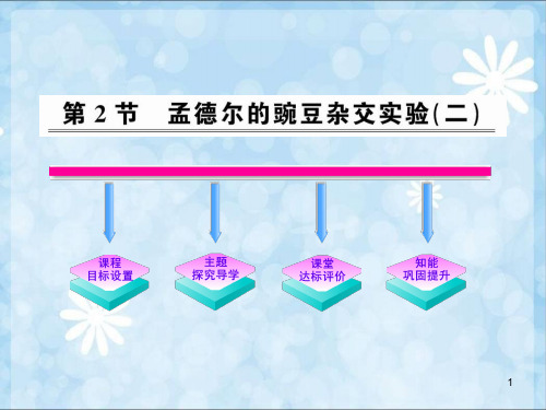 孟德尔的豌豆杂交实验二》人教版必修PPT课件