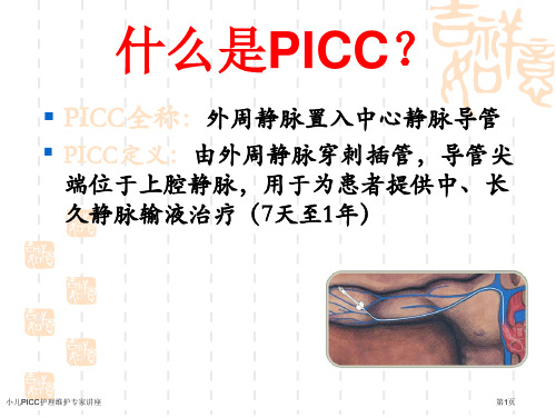 小儿PICC护理维护专家讲座