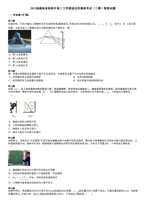 2023届湖南省株洲市高三下学期适应性模拟考试(三模)物理试题