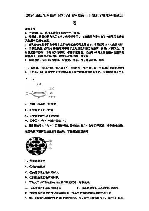 2024届山东省威海市示范名校生物高一上期末学业水平测试试题含解析