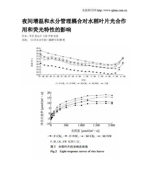 夜间增温和水分管理耦合对水稻叶片光合作用和荧光特性的影响