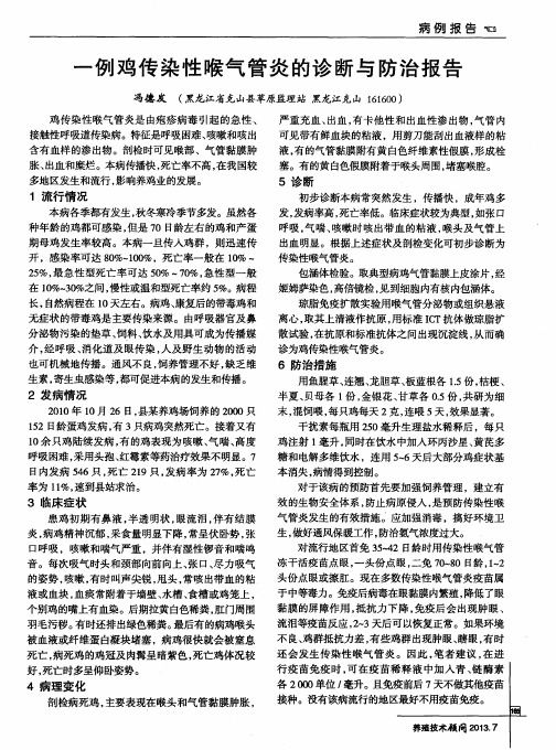 一例鸡传染性喉气管炎的诊断与防治报告