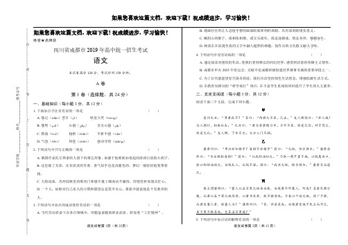 (高清版)2019年四川省成都市中考语文试卷