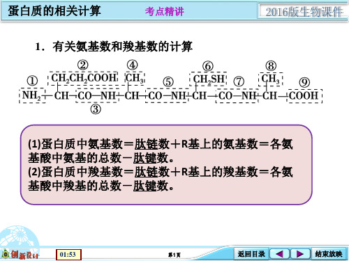 1107考点能力提升类蛋白质的相关计算