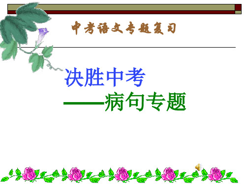 中考语文复习修改病句专题(全)市公开课获奖课件省名师示范课获奖课件