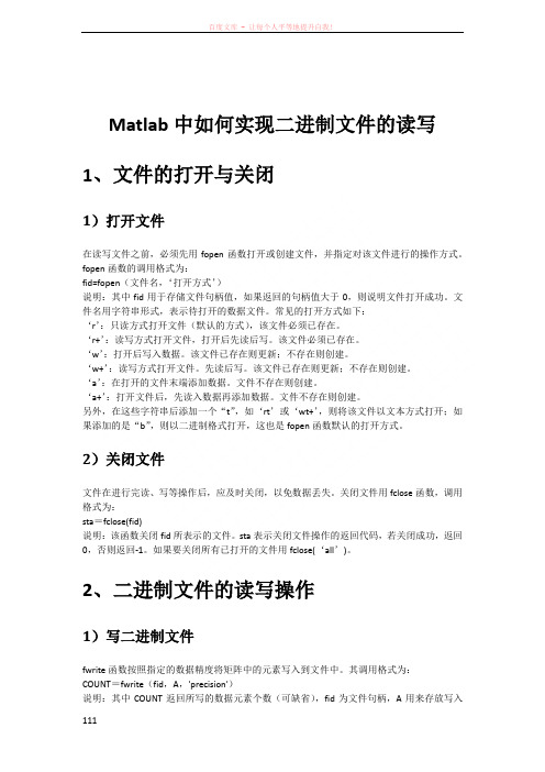 Matlab中如何实现二进制文件的读写