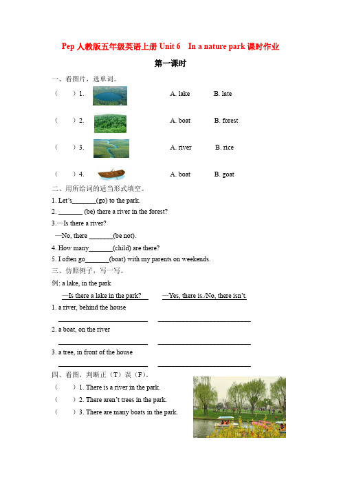 pep人教版五年级英语上册Unit 6 In a nature park课时作业一课一练习题
