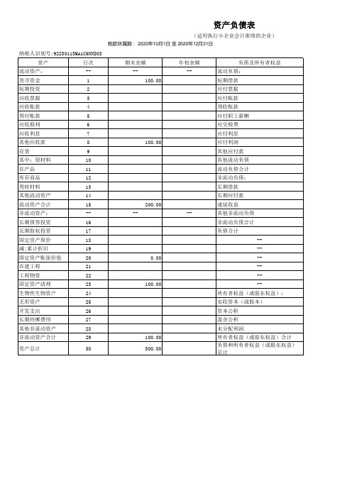 财务报表小企业