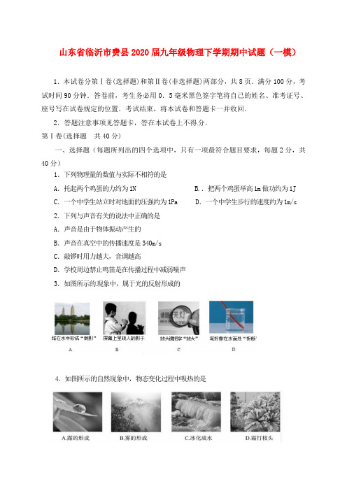 山东省临沂市费县2020届九年级物理下学期期中试题(一模)
