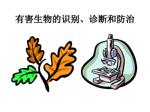 有害生物的识别、诊断及防治.ppt