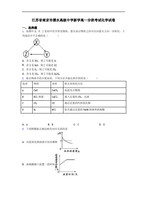 江苏省南京市溧水高级中学新学高一分班考试化学试卷