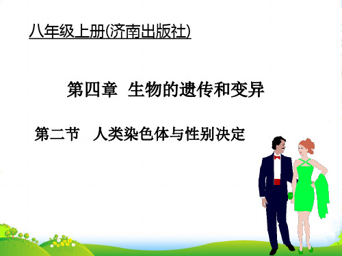 八年级生物 人类染色体与性别决定课件 济南版