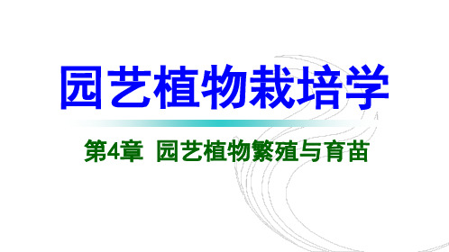 苗圃地的选择、规划和管理