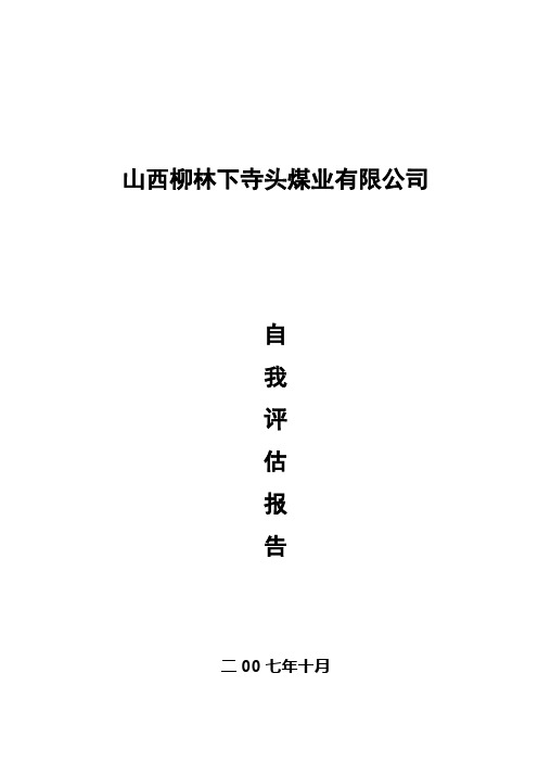 山西柳林下寺头煤业有限公司自我评估报告