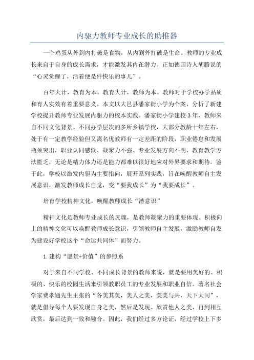 内驱力教师专业成长的助推器