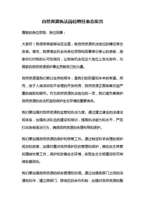 自然资源执法岗位聘任表态发言