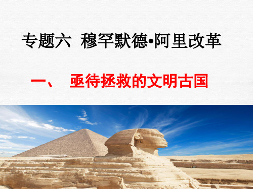 高中历史人民版选修一6.1亟待拯救的文明古国课件