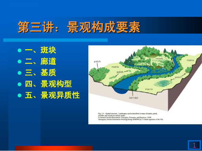 景观生态学-3景观构成