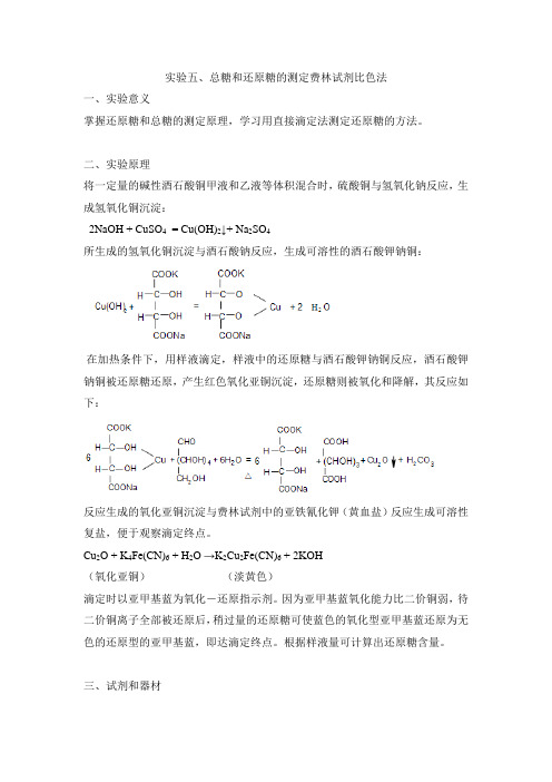 实验五.总糖的测定doc