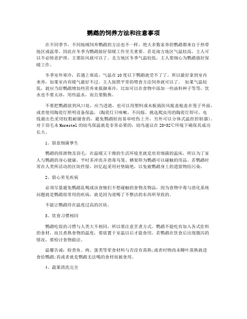 鹦鹉的饲养方法和注意事项