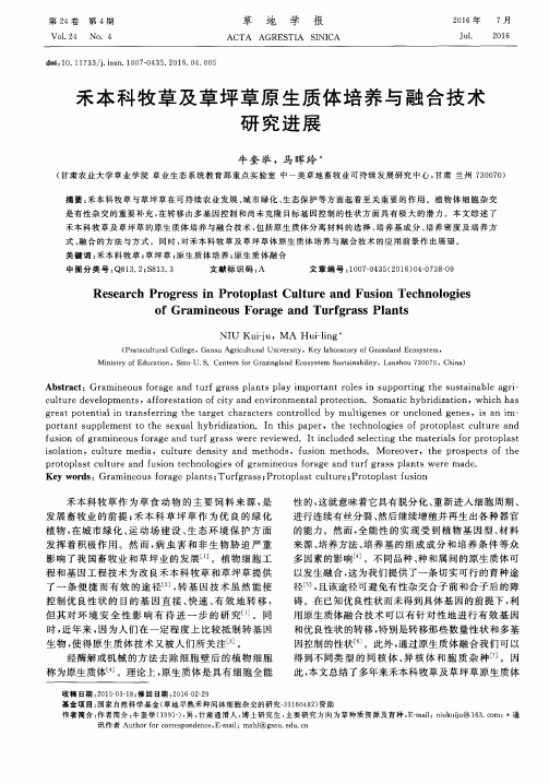 禾本科牧草及草坪草原生质体培养与融合技术研究进展