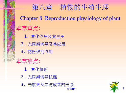 《植物生殖生理》PPT课件 (2)