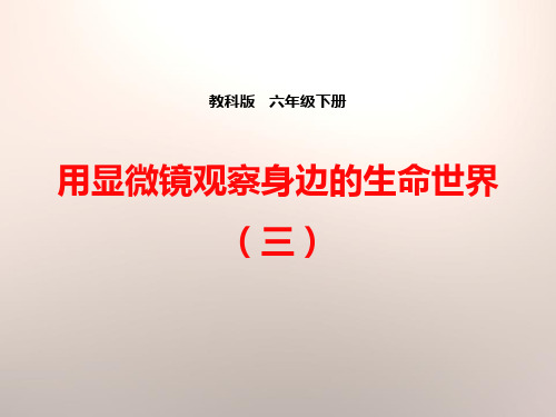 教科版六年级科学下册 (用显微镜观察身边的生命世界(三))微小世界课件