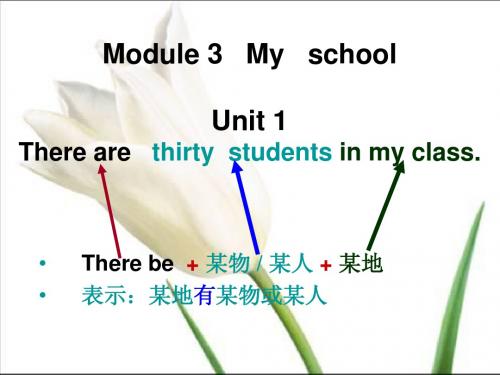 新版外研社版7上 M3U1There_are_thirty_students_in_my_class