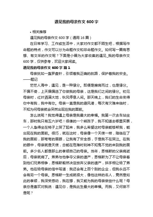 遇见我的母亲作文600字