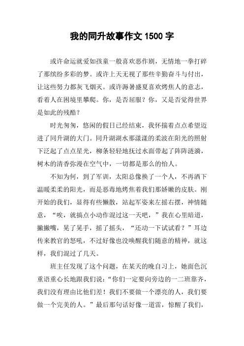 我的同升故事作文1500字