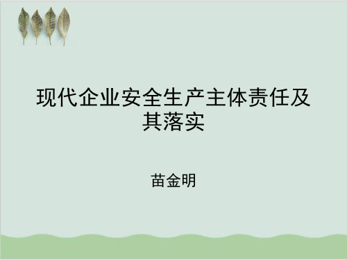 现代企业安全生产主体责任及其落实讲义PPT课件(87页)