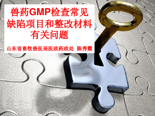 兽药GMP验收中常见缺陷项目和整改材料有关问题-10号讲课陈秀霞