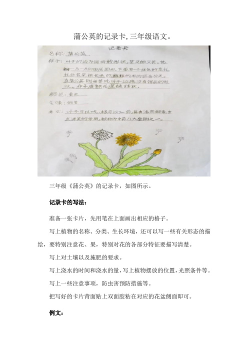 蒲公英的记录卡,三年级语文。