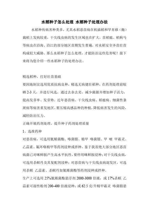 水稻种子怎么处理 水稻种子处理办法.doc