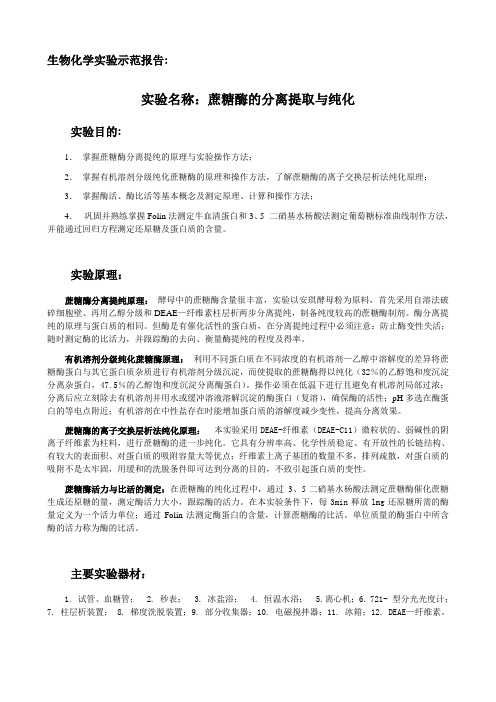 生物化学实验示范报告-蔗糖酶的提取与纯化(正确)