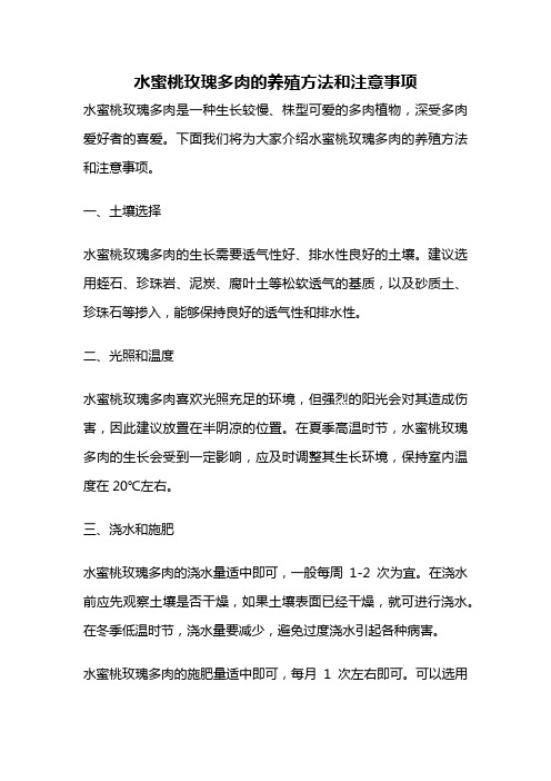 水蜜桃玫瑰多肉的养殖方法和注意事项