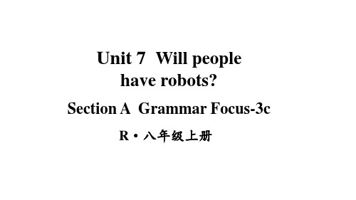 人教新目标版八上英语Unit 7 第2课时 Section A Grammar Focus-3c课件