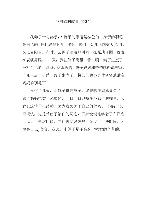 小白鸽的故事_350字