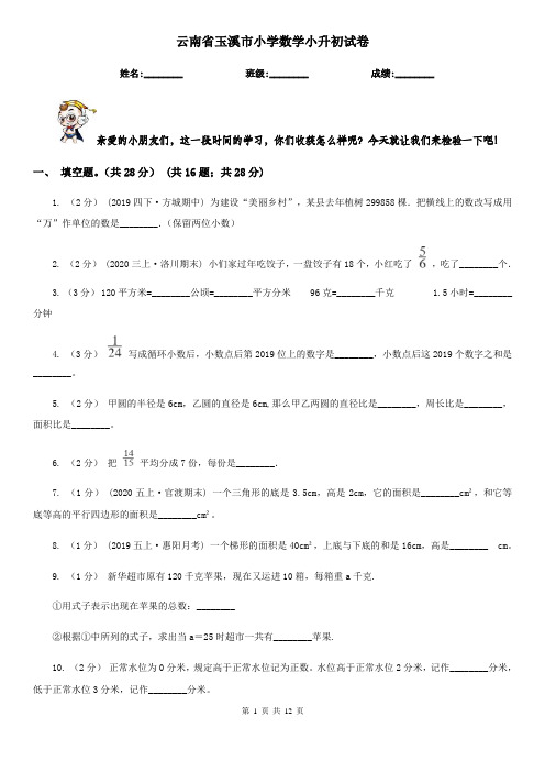 云南省玉溪市小学数学小升初试卷