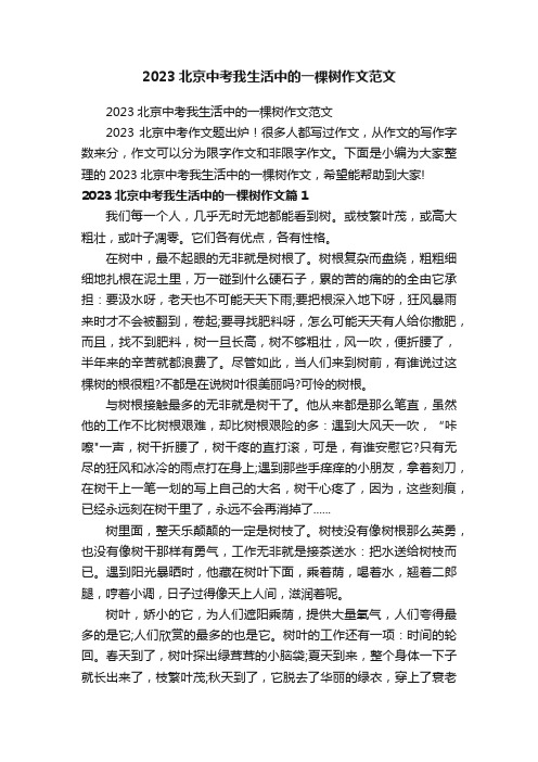 2023北京中考我生活中的一棵树作文范文