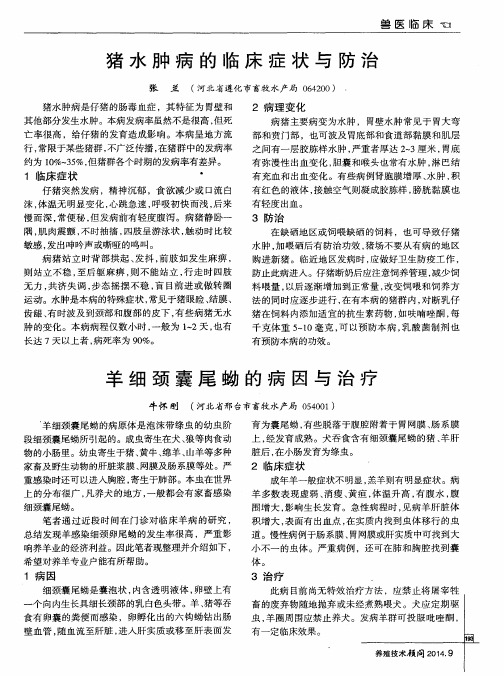 羊细颈囊尾蚴的病因与治疗