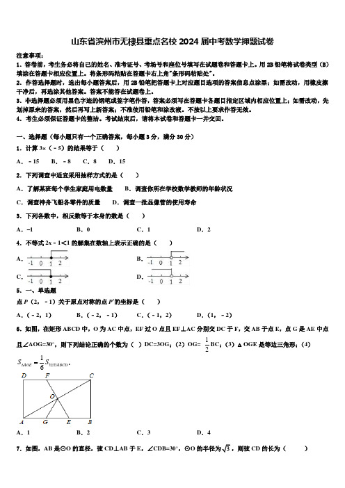 山东省滨州市无棣县重点名校2024届中考数学押题试卷含解析