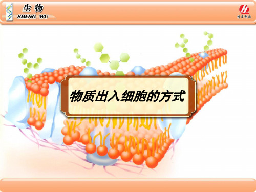 物质出入细胞的方式24PPT