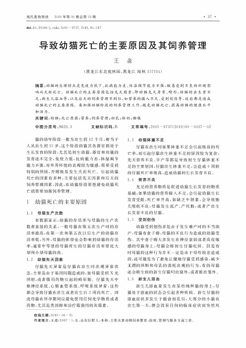 导致幼猫死亡的主要原因及其饲养管理